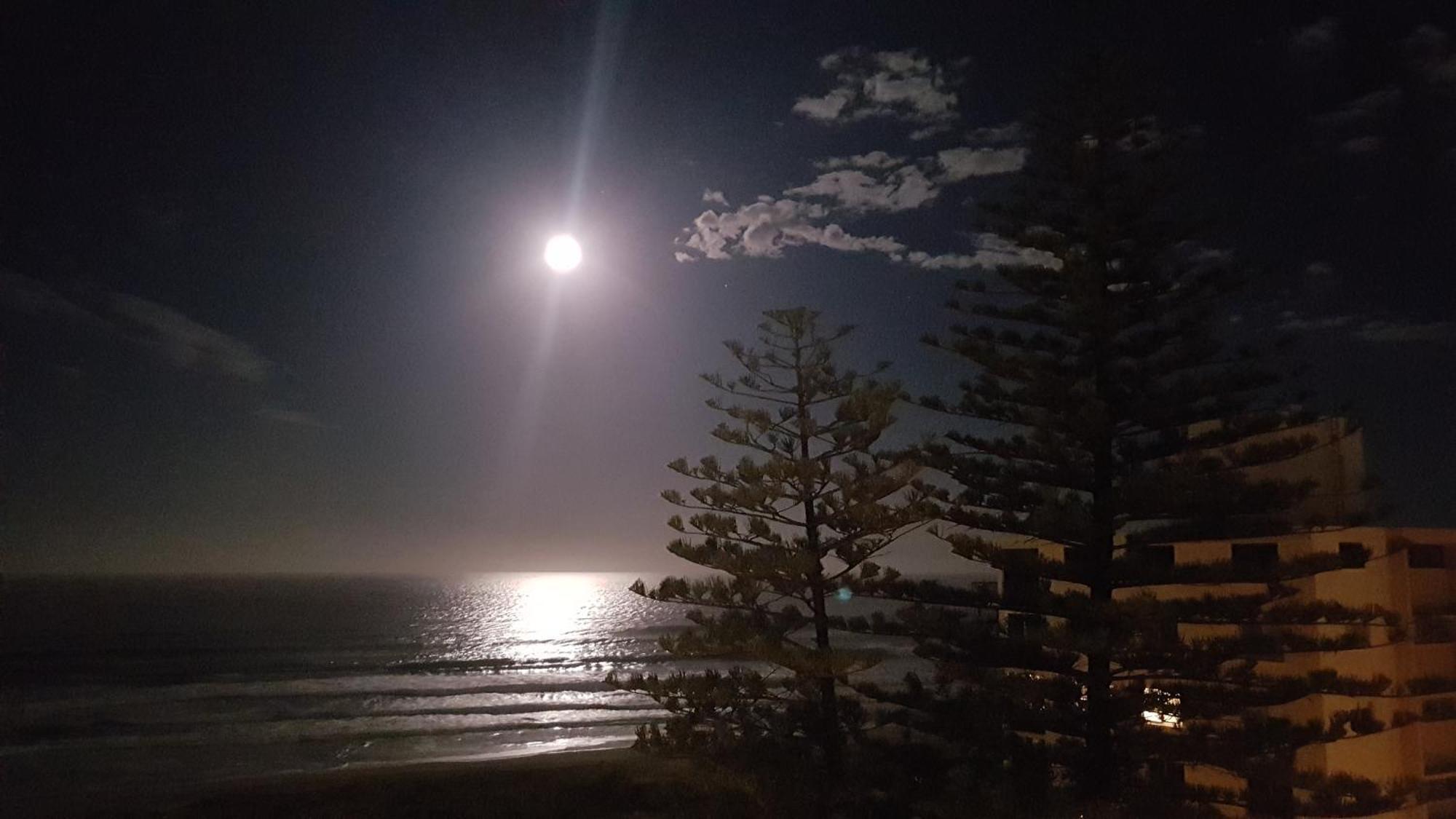 Surfers Chalet Gold Coast Eksteriør billede